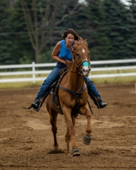 2022-6-26-Sunday-Horse-trial-266