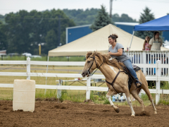 2022-6-26-Sunday-Horse-trial-270