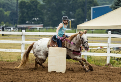 2022-6-26-Sunday-Horse-trial-278