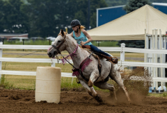 2022-6-26-Sunday-Horse-trial-279