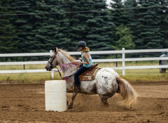 2022-6-26-Sunday-Horse-trial-282