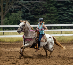 2022-6-26-Sunday-Horse-trial-283