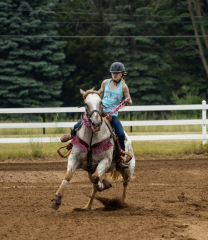 2022-6-26-Sunday-Horse-trial-284