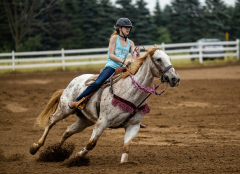 2022-6-26-Sunday-Horse-trial-287