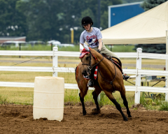 2022-6-26-Sunday-Horse-trial-288