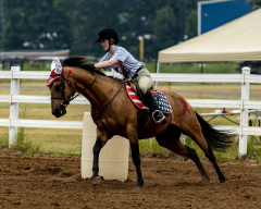 2022-6-26-Sunday-Horse-trial-289