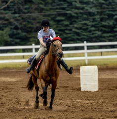 2022-6-26-Sunday-Horse-trial-295