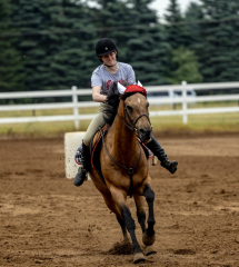 2022-6-26-Sunday-Horse-trial-296