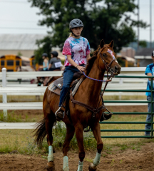 2022-6-26-Sunday-Horse-trial-299