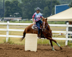 2022-6-26-Sunday-Horse-trial-301