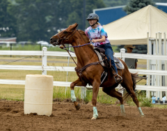 2022-6-26-Sunday-Horse-trial-302