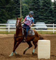 2022-6-26-Sunday-Horse-trial-304