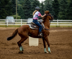 2022-6-26-Sunday-Horse-trial-306