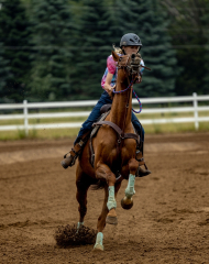 2022-6-26-Sunday-Horse-trial-313