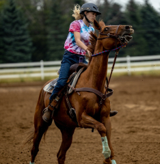 2022-6-26-Sunday-Horse-trial-314