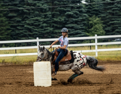 2022-6-26-Sunday-Horse-trial-321