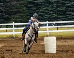 2022-6-26-Sunday-Horse-trial-322