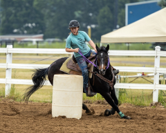 2022-6-26-Sunday-Horse-trial-330