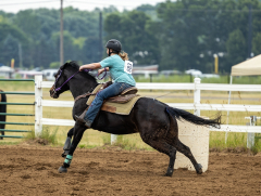 2022-6-26-Sunday-Horse-trial-331