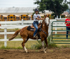 2022-6-26-Sunday-Horse-trial-339