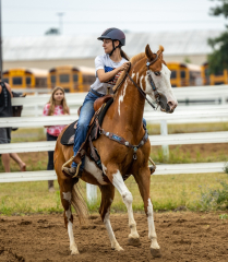 2022-6-26-Sunday-Horse-trial-340