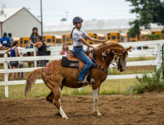 2022-6-26-Sunday-Horse-trial-341