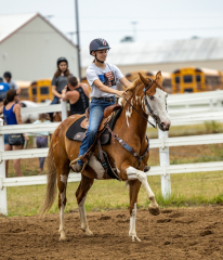 2022-6-26-Sunday-Horse-trial-342