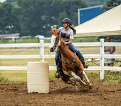 2022-6-26-Sunday-Horse-trial-344