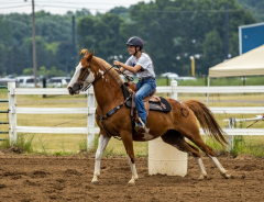 2022-6-26-Sunday-Horse-trial-345