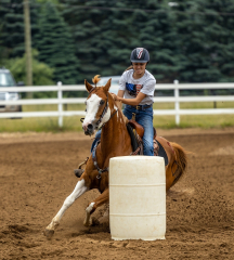 2022-6-26-Sunday-Horse-trial-346