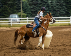 2022-6-26-Sunday-Horse-trial-347