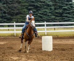 2022-6-26-Sunday-Horse-trial-350-2