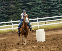 2022-6-26-Sunday-Horse-trial-350