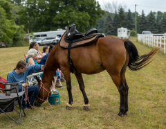 2022-6-26-Sunday-Horse-trial-353