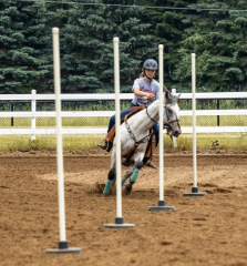 2022-6-26-Sunday-Horse-trial-356