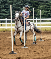 2022-6-26-Sunday-Horse-trial-358