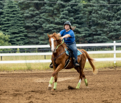 2022-6-26-Sunday-Horse-trial-376