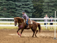 2022-6-26-Sunday-Horse-trial-391