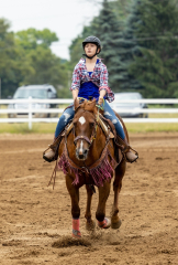 2022-6-26-Sunday-Horse-trial-396