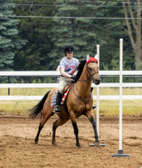 2022-6-26-Sunday-Horse-trial-399