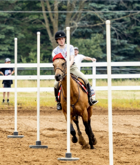 2022-6-26-Sunday-Horse-trial-400