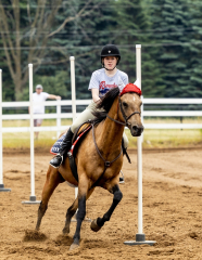 2022-6-26-Sunday-Horse-trial-403