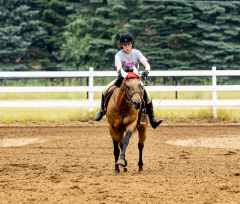 2022-6-26-Sunday-Horse-trial-412