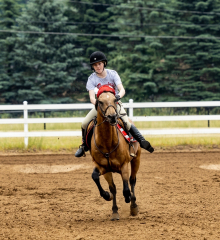 2022-6-26-Sunday-Horse-trial-413