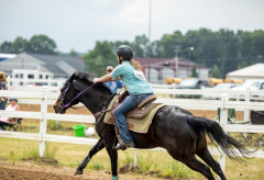 2022-6-26-Sunday-Horse-trial-416