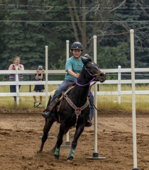 2022-6-26-Sunday-Horse-trial-419