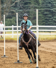 2022-6-26-Sunday-Horse-trial-420