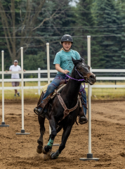 2022-6-26-Sunday-Horse-trial-421