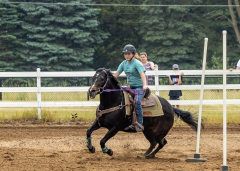 2022-6-26-Sunday-Horse-trial-427