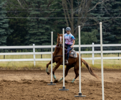 2022-6-26-Sunday-Horse-trial-437